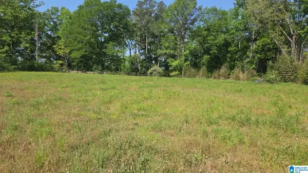 10997 VANCE BLOCKTON ROAD, Vance, AL 35490