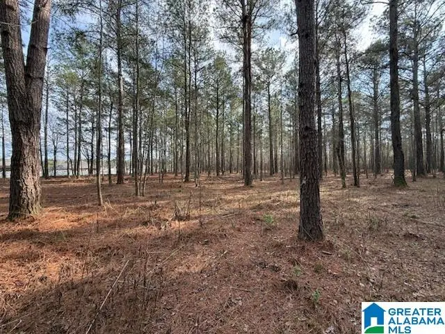 05 CLUB HOUSE ROAD, Sylacauga, AL 35150 - #2