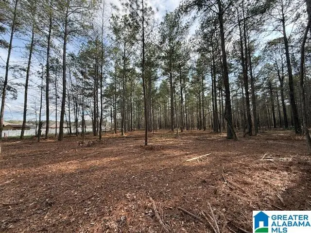 016 CLUB HOUSE ROAD, Sylacauga, AL 35150 - #3