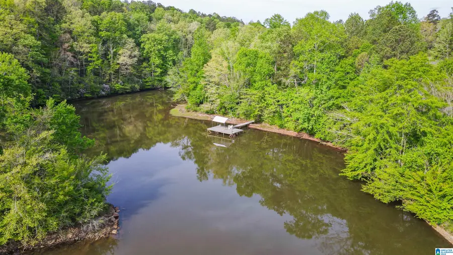 3719 COUNTY ROAD 88, Delta, AL 36258 - #2