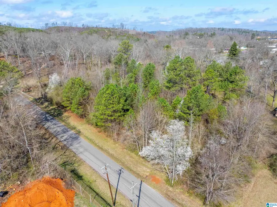 Lot 2 FRANCIS STREET, Jacksonville, AL 36265 - #2