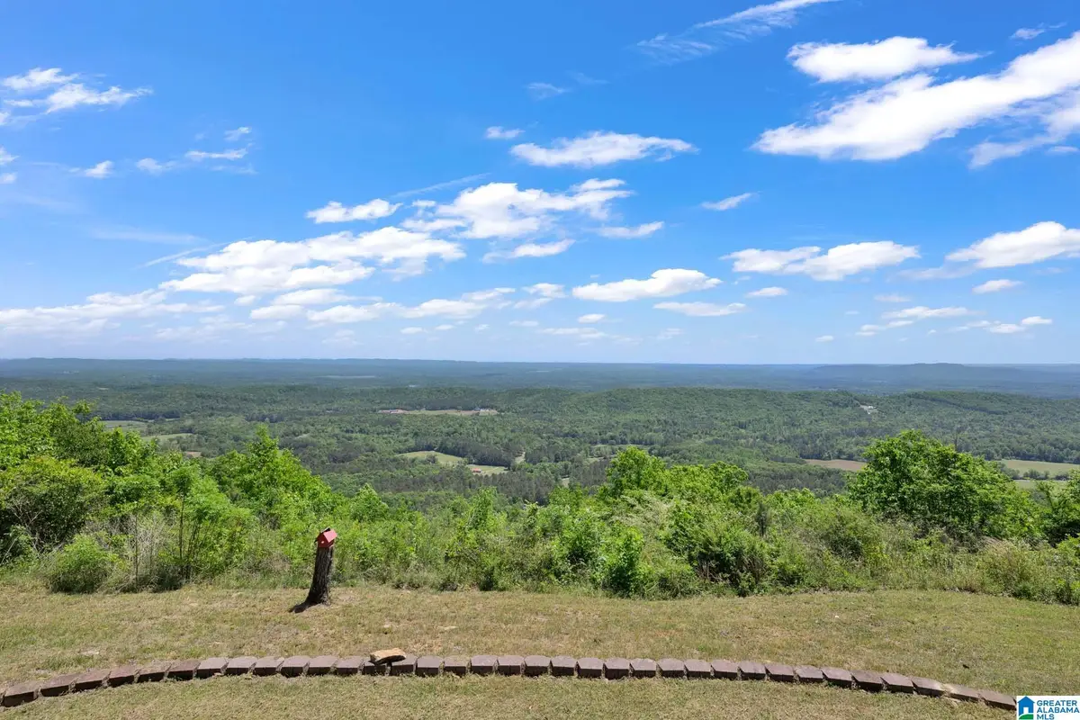 7076 COUNTY ROAD 24, Springville, AL 35146 - #1