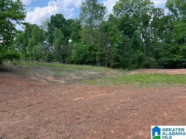 289 CIRCLE DRIVE, Roanoke, AL 36274 - #2