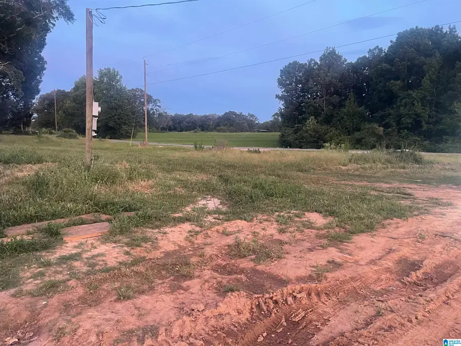 1707 COUNTY ROAD 44, Jemison, AL 35085 - #2