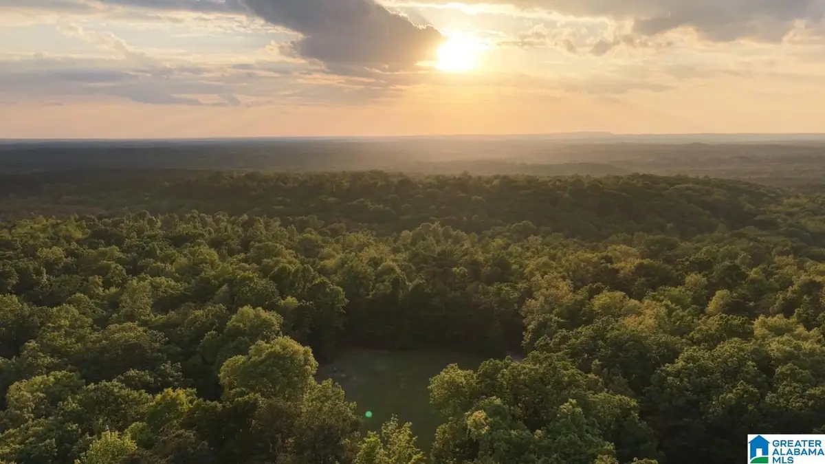 900 MOUNTAIN DRIVE, Remlap, AL 35133 - #1