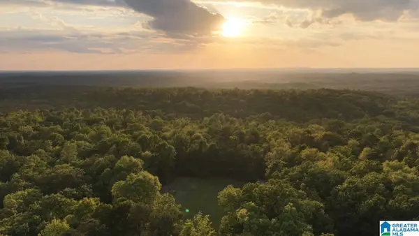 900 MOUNTAIN DRIVE, Remlap, AL 35133