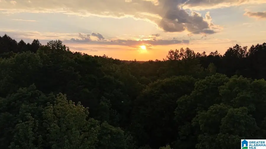 900 MOUNTAIN DRIVE, Remlap, AL 35133 - #2