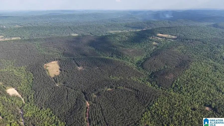 900 MOUNTAIN DRIVE, Remlap, AL 35133 - #3