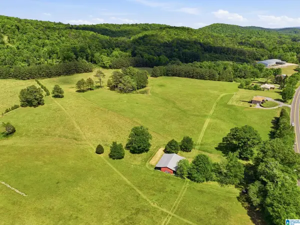 0 HIGHWAY 174, Springville, AL 35146