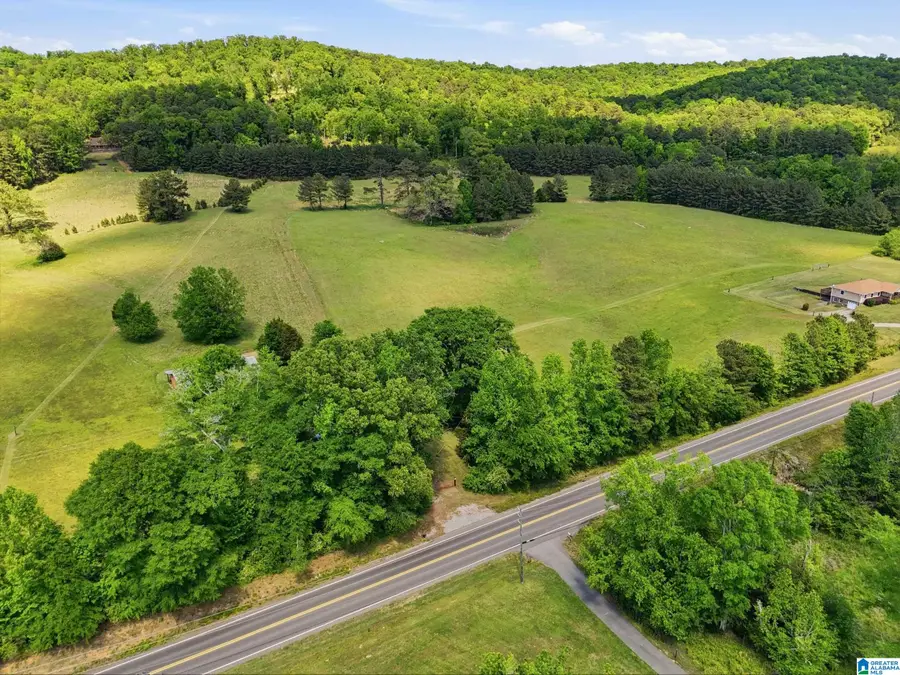 0 HIGHWAY 174, Springville, AL 35146 - #2