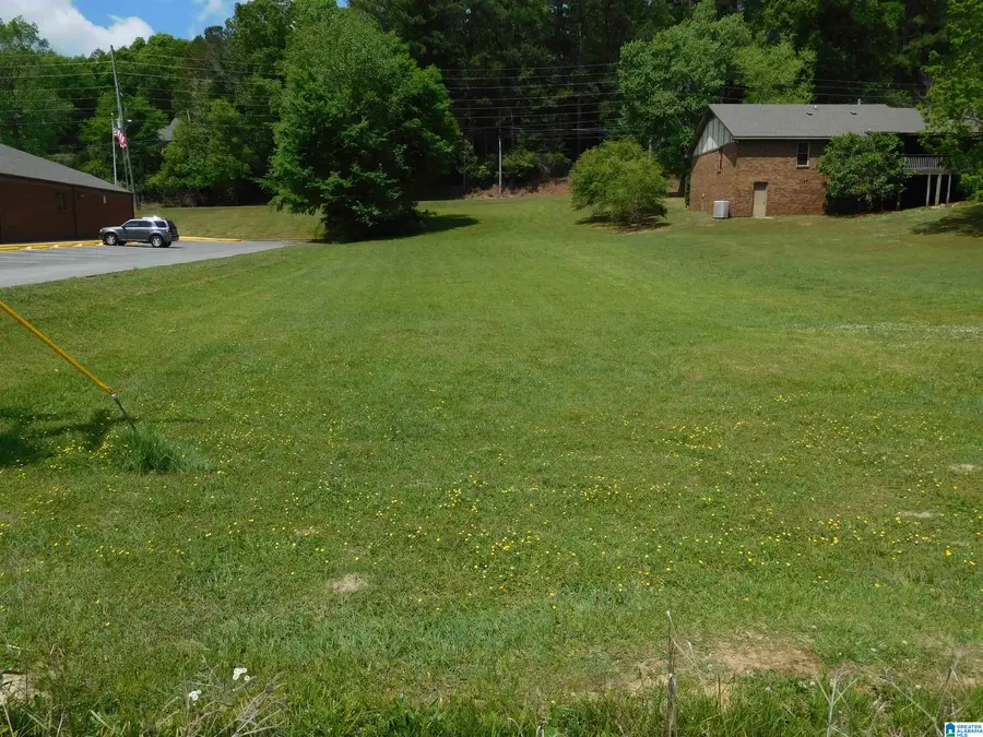 0000 US HIGHWAY 11, Springville, AL 35146 - #2