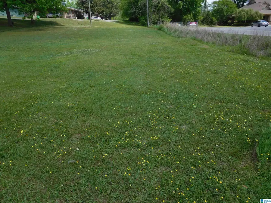 0000 US HIGHWAY 11, Springville, AL 35146 - #3