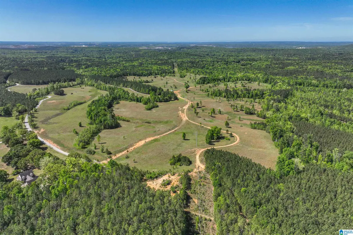 489 FOURWING LAKE ROAD, Alabaster, AL 35007 - #1