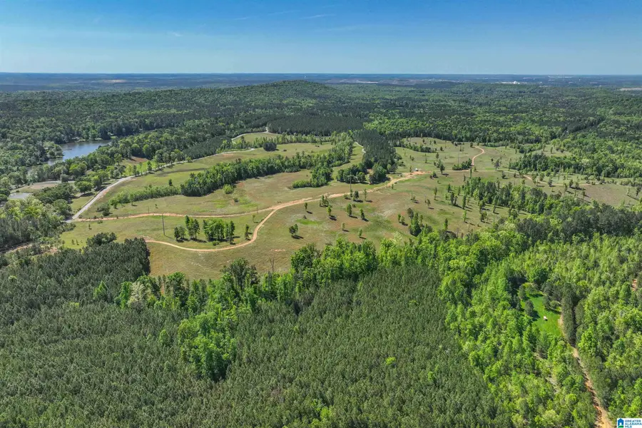 489 FOURWING LAKE ROAD, Alabaster, AL 35007 - #3