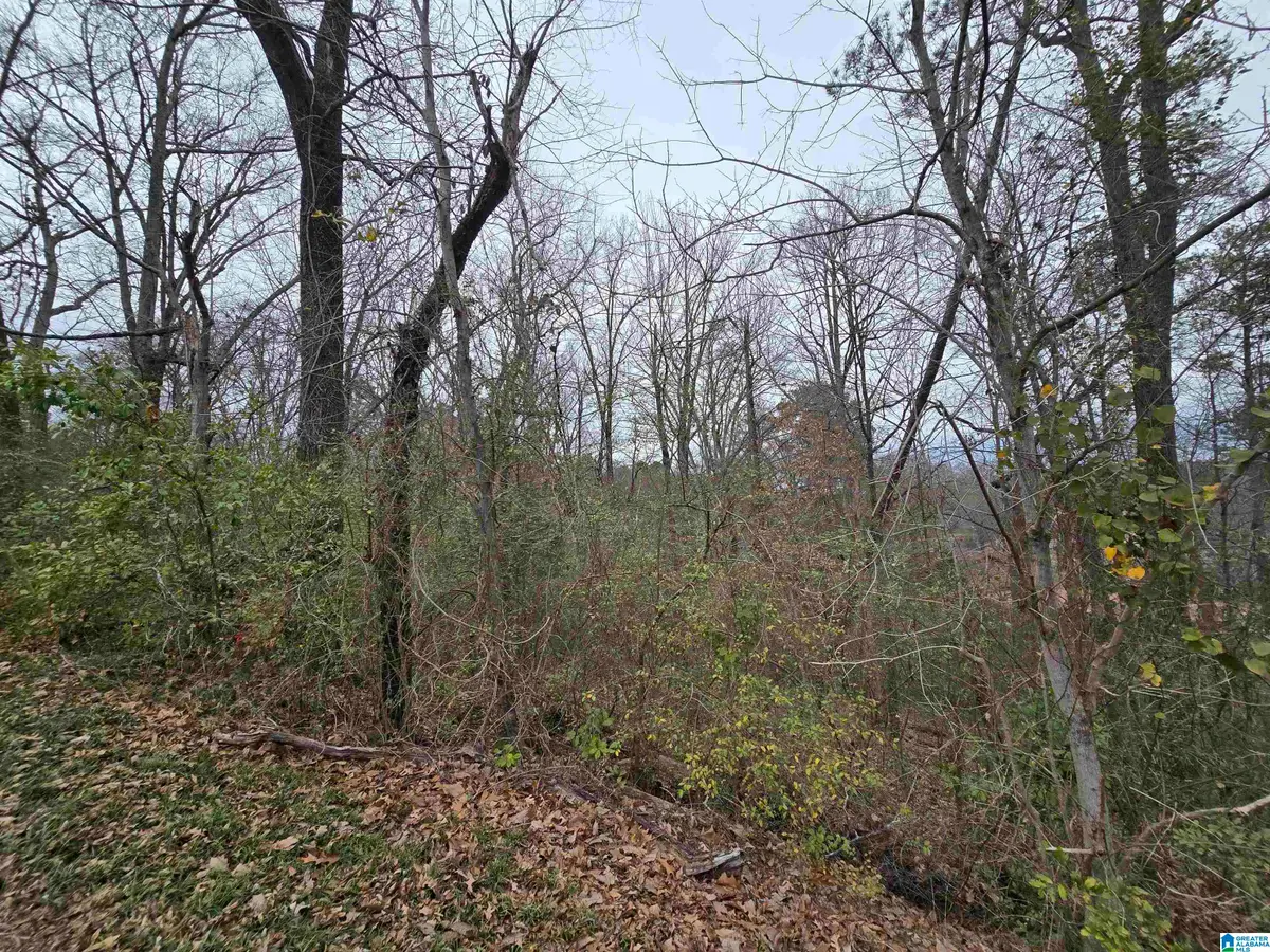 1024 MELODY LANE, Birmingham, AL 35214 - #1