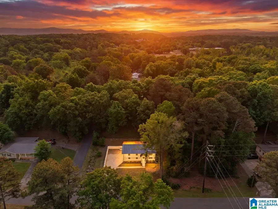 418 HILLTOP ROAD, Weaver, AL 36277 - #3