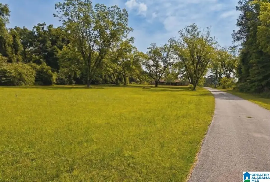 484 BLANDING ROAD, Hatchechubbee, AL 36858 - #2