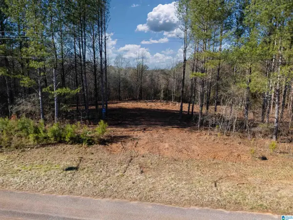 0 COUNTY ROAD 432, Woodland, AL 36280