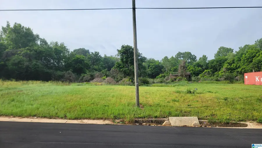 1505 CHAUCER STREET, Birmingham, AL 35214 - #2