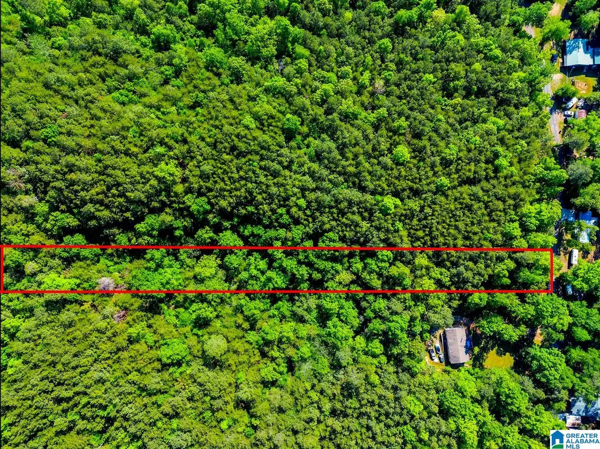 0 WONDER LANE, Parrish, AL 35580 - #1