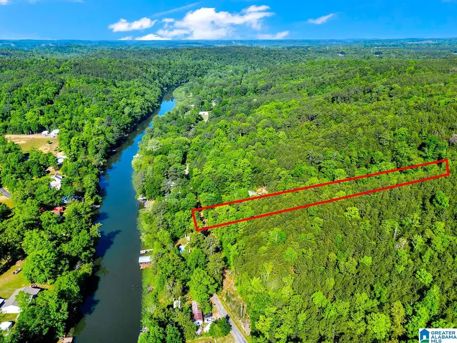 0 WONDER LANE, Parrish, AL 35580 - #2