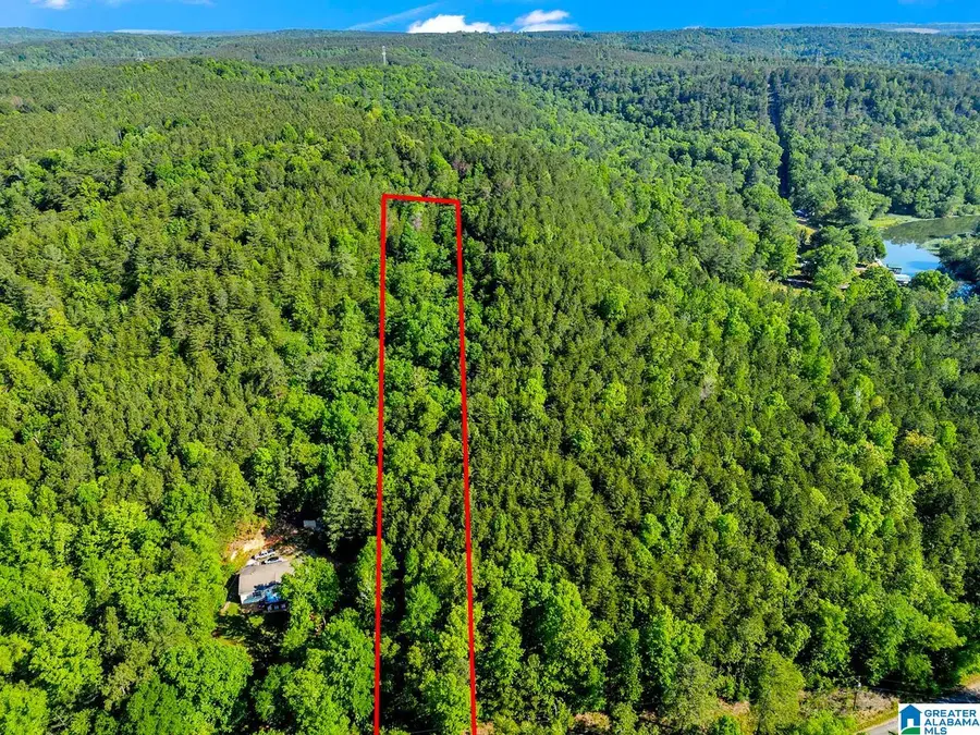 0 WONDER LANE, Parrish, AL 35580 - #3