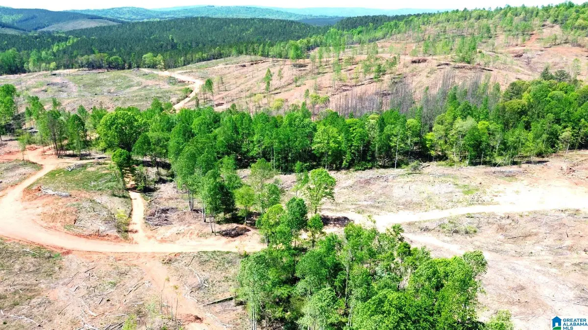 MINES ROAD, Millerville Hollins, AL 35160 - #1