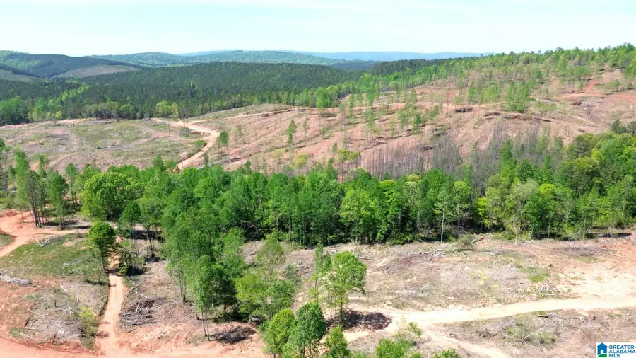 MINES ROAD, Millerville Hollins, AL 35160 - #2