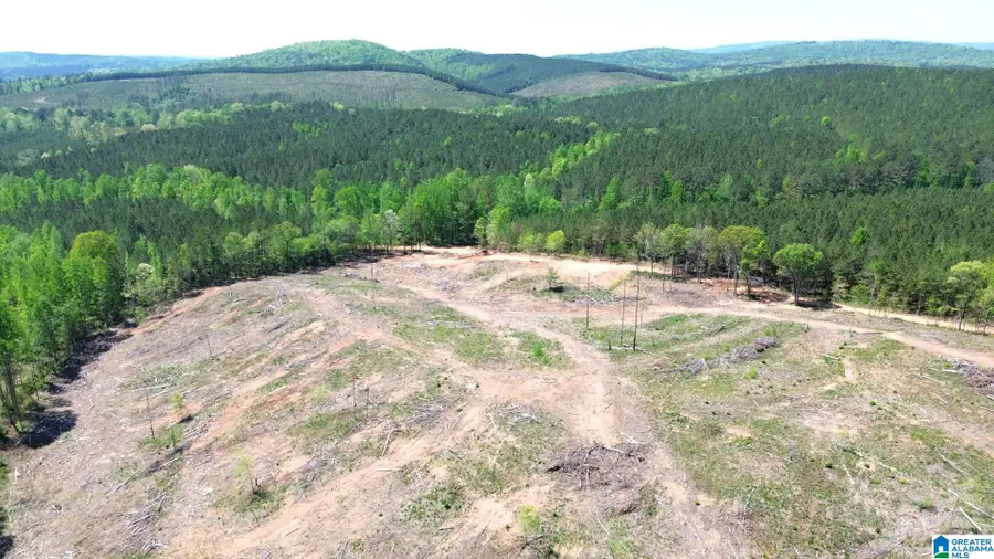 MINES ROAD, Millerville Hollins, AL 35160 - #3