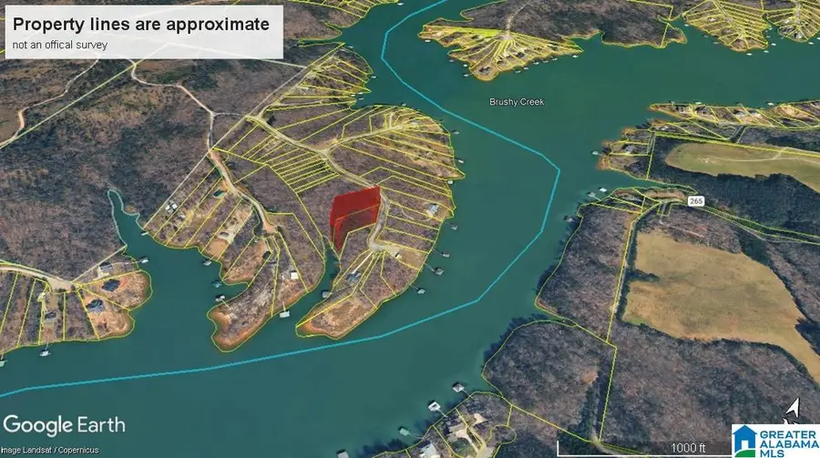 LOT 21 EDGEWATER BEND ROAD, Double Springs, AL 35553 - #3