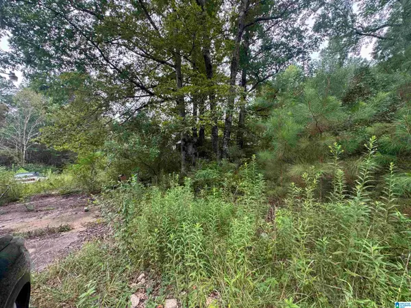 204 COUNTY ROAD, Nauvoo, AL 35578