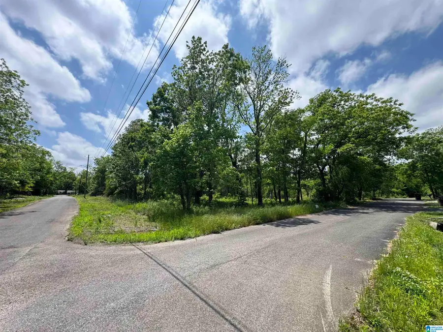 5501 BLOSSOM AVENUE, Birmingham, AL 35228 - #2