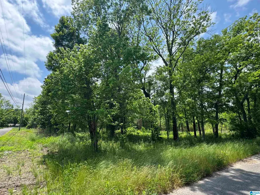 5501 BLOSSOM AVENUE, Birmingham, AL 35228 - #3