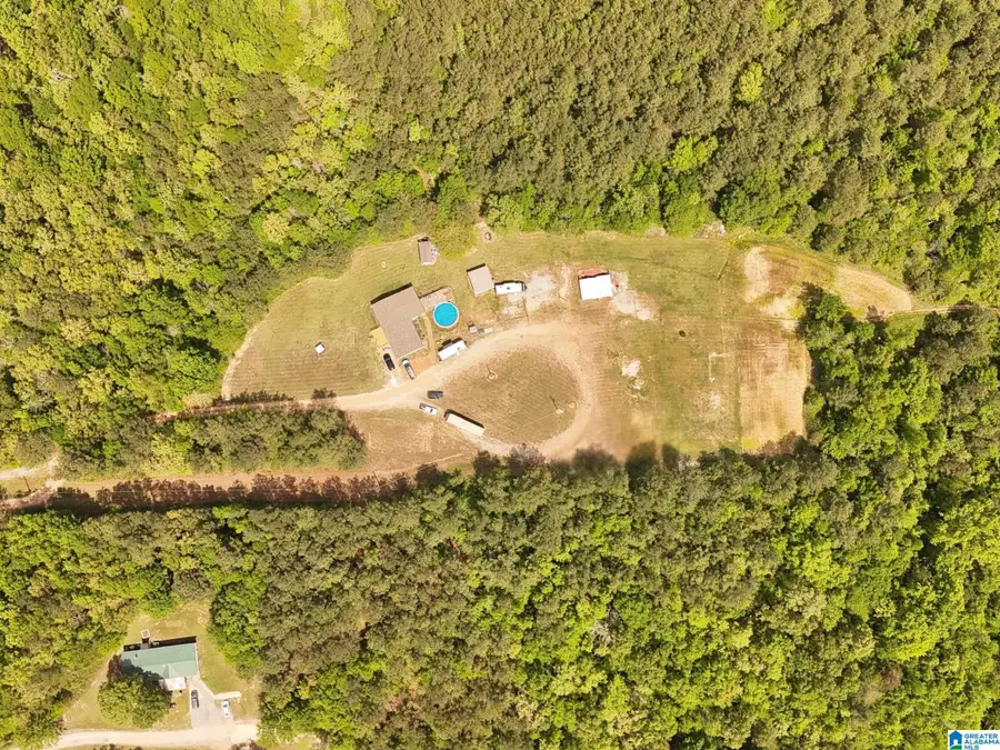 1336 ESTES ROAD, Piedmont, AL 36272 - #2