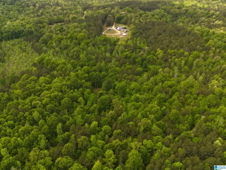 1336 ESTES ROAD, Piedmont, AL 36272 - #3