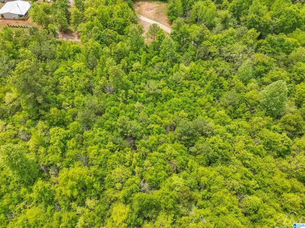 0 MORELAND ROAD, Brierfield, AL 35035