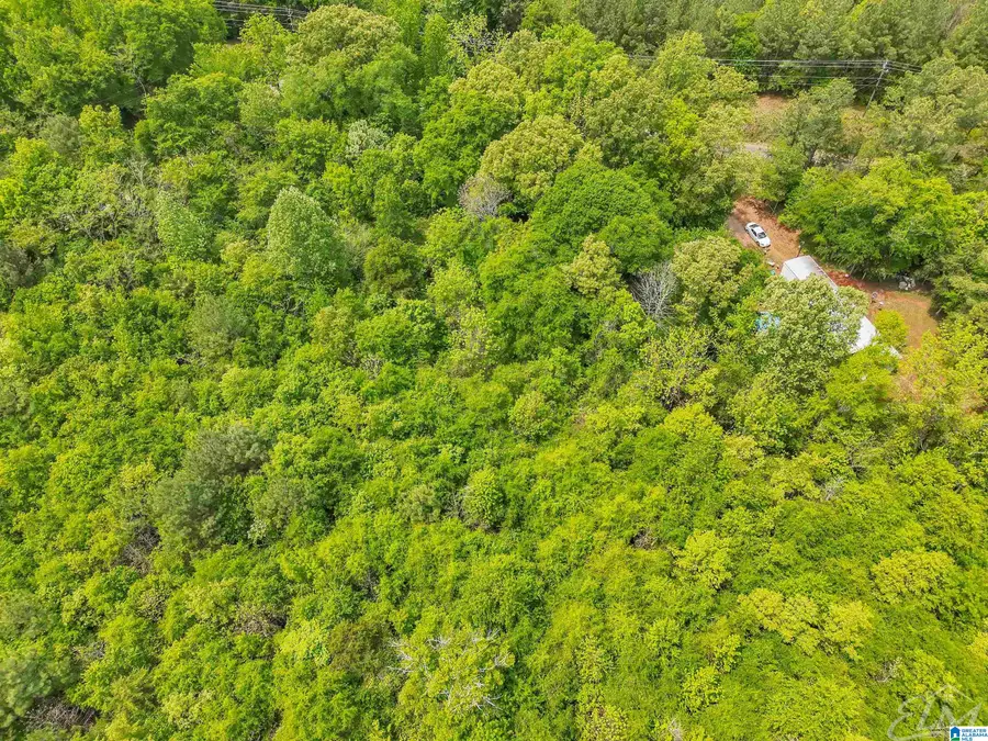 0 MORELAND ROAD, Brierfield, AL 35035 - #2