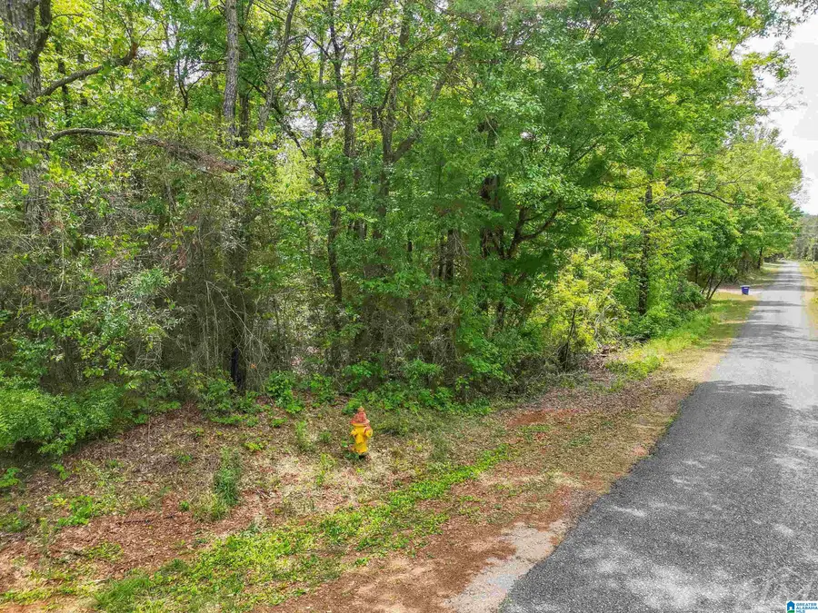 0 MORELAND ROAD, Brierfield, AL 35035 - #3