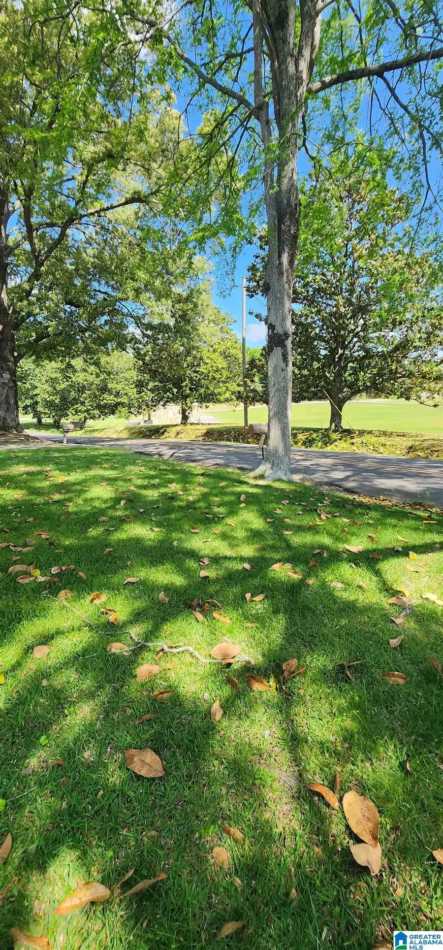 732 1ST AVENUE E, Oneonta, AL 35121 - #2