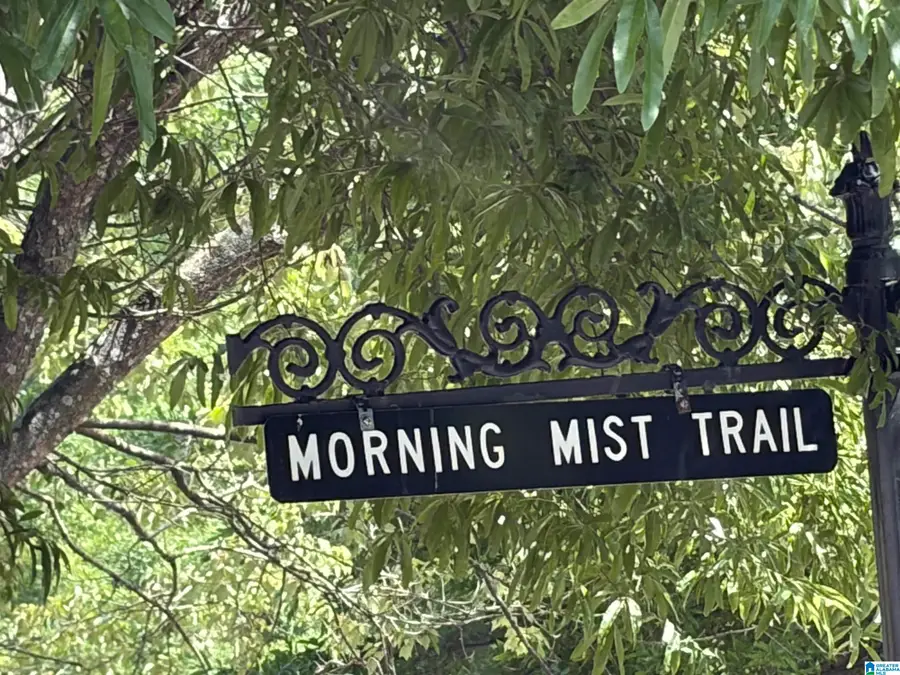 136 MORNING MIST TRAIL, Alabaster, AL 35007 - #2
