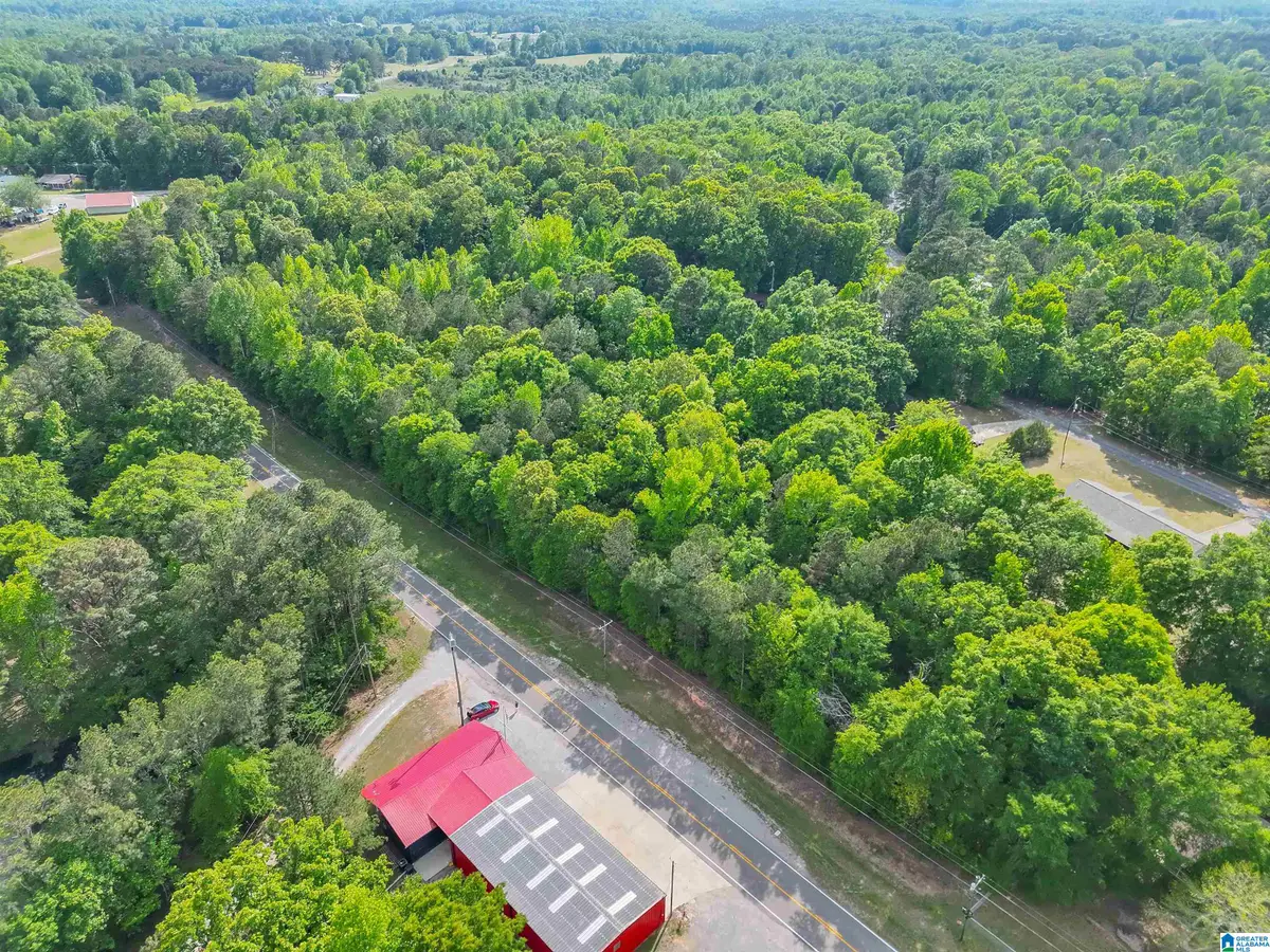 0 COUNTY ROAD 42, Jemison, AL 35085 - #1