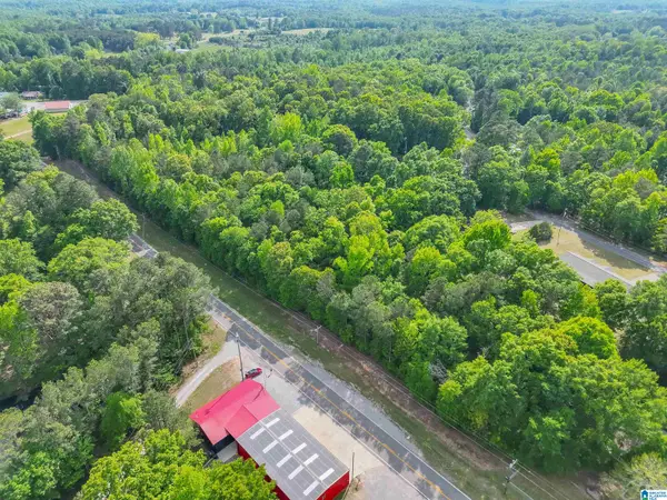 0 COUNTY ROAD 42, Jemison, AL 35085