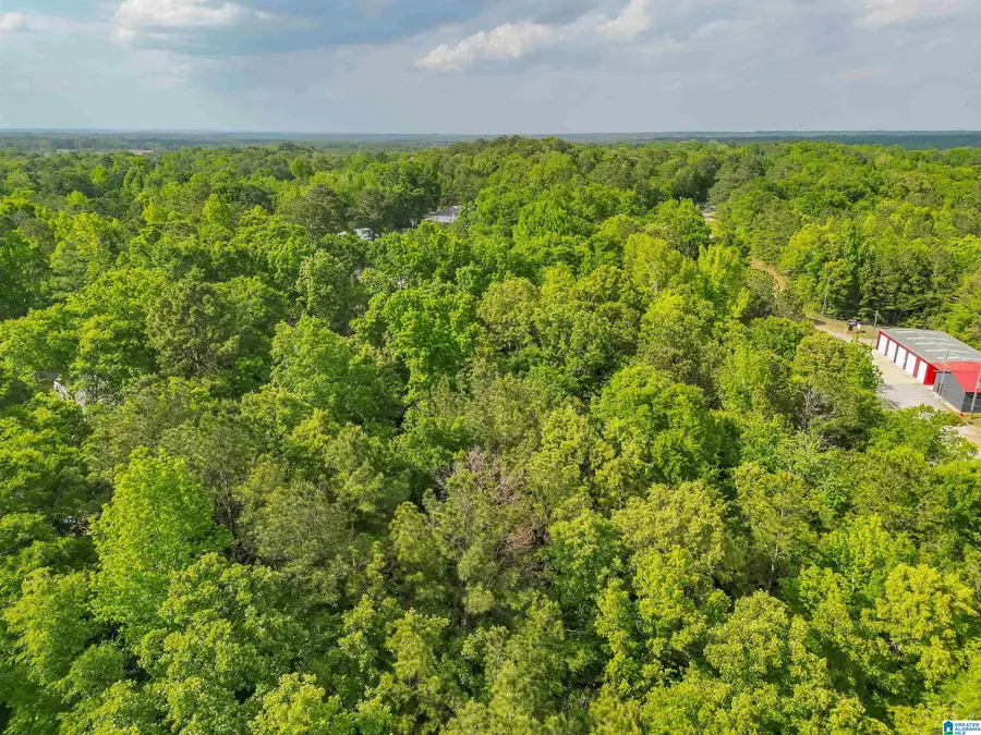 0 COUNTY ROAD 42, Jemison, AL 35085 - #3