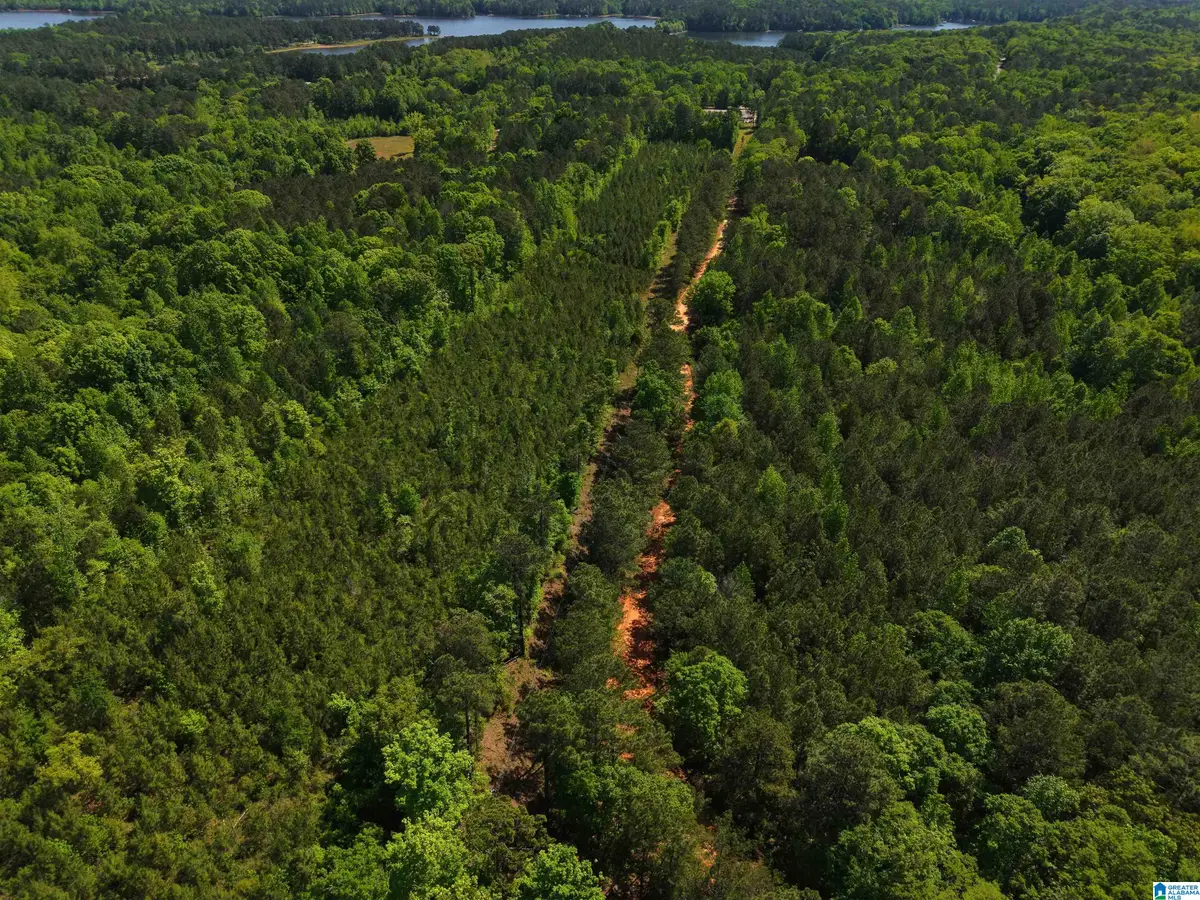 0 COUNTY ROAD 266, County, AL 36855 - #1