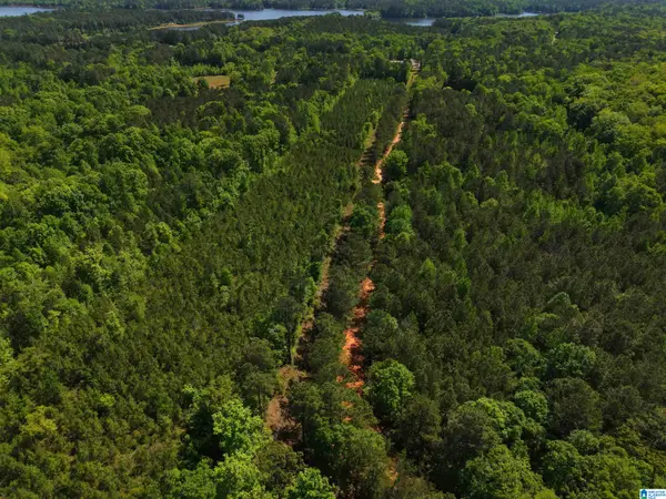 0 COUNTY ROAD 266, County, AL 36855