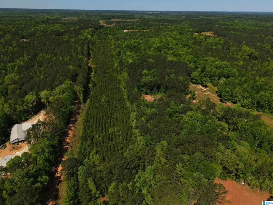 0 COUNTY ROAD 266, County, AL 36855 - #2