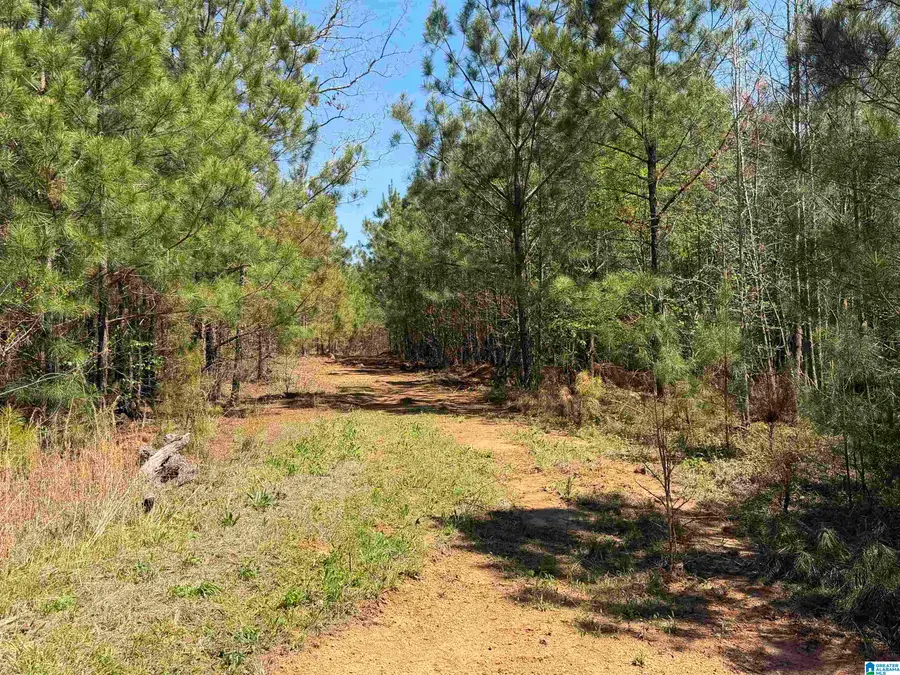 0 COUNTY ROAD 79, Wadley, AL 36276 - #2