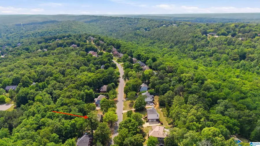1620 OAK PARK LANE, Hoover, AL 35080 - #2