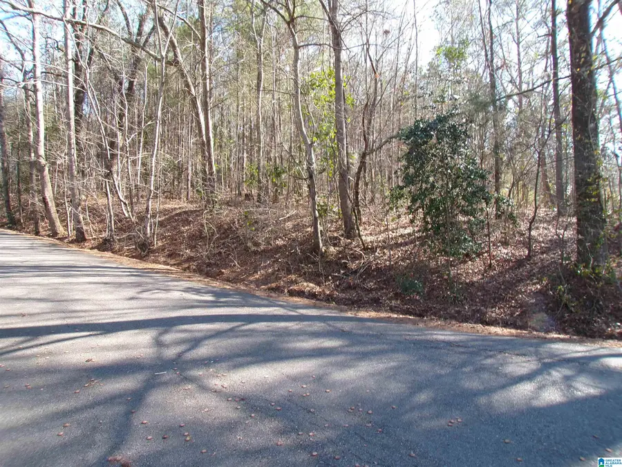 0 ARTHUR DRIVE, Weaver, AL 36277 - #2