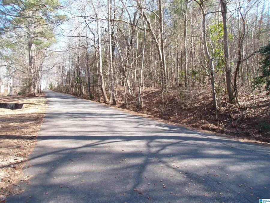 0 ARTHUR DRIVE, Weaver, AL 36277 - #3